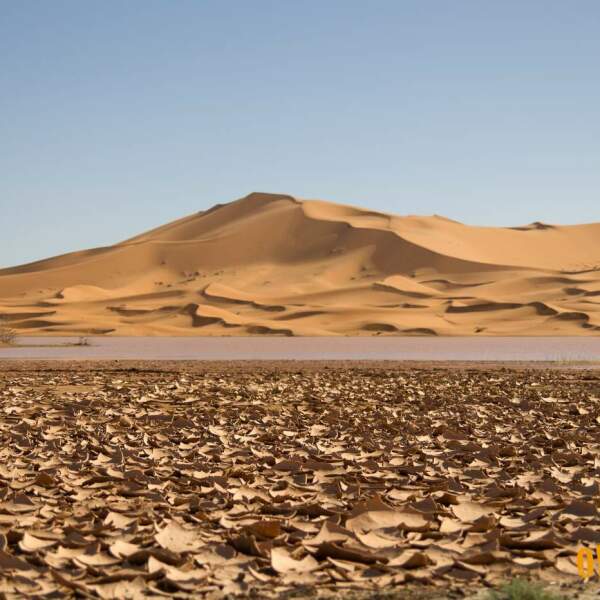 marokko motorradreisen durch den Erg Chebbi mit 150 Meter höhe das Enduro Abenteuer