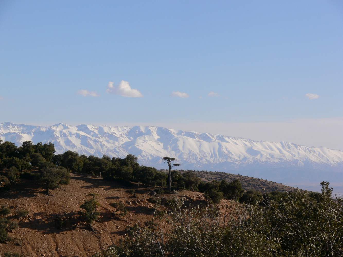 Die schneebedeckten Gipfel des hohen Atlas in Marokko