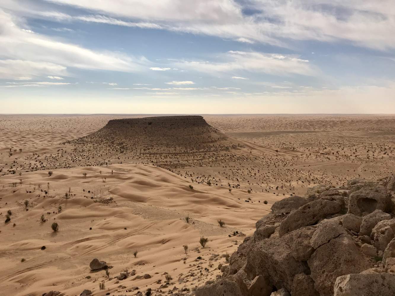 Ein Tafelberg in der tunesischen Sahara
Ein Tafelberg in der tunesischen Sahara
