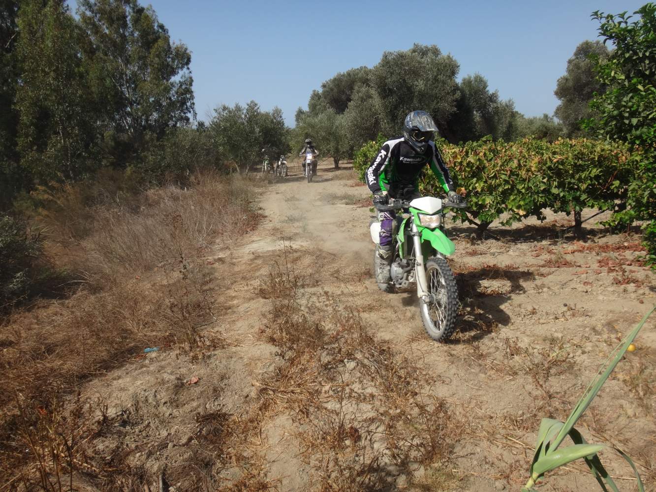 Enduro-Reisen in griechischen Olivenhainen
Enduro-Reisen in griechischen Olivenhainen