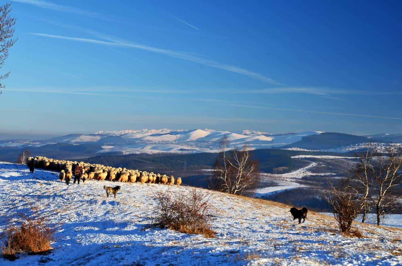 Winterlandschaft in Siebenbürgen
