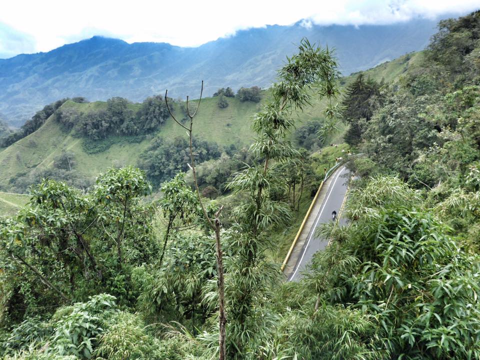 Regenwald an den Berghängen Venezuelas Regenwald an den Berghängen Venezuelas