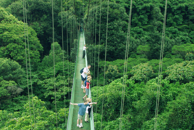 Hängebrücken über dem Nebelwald Costa Ricas 