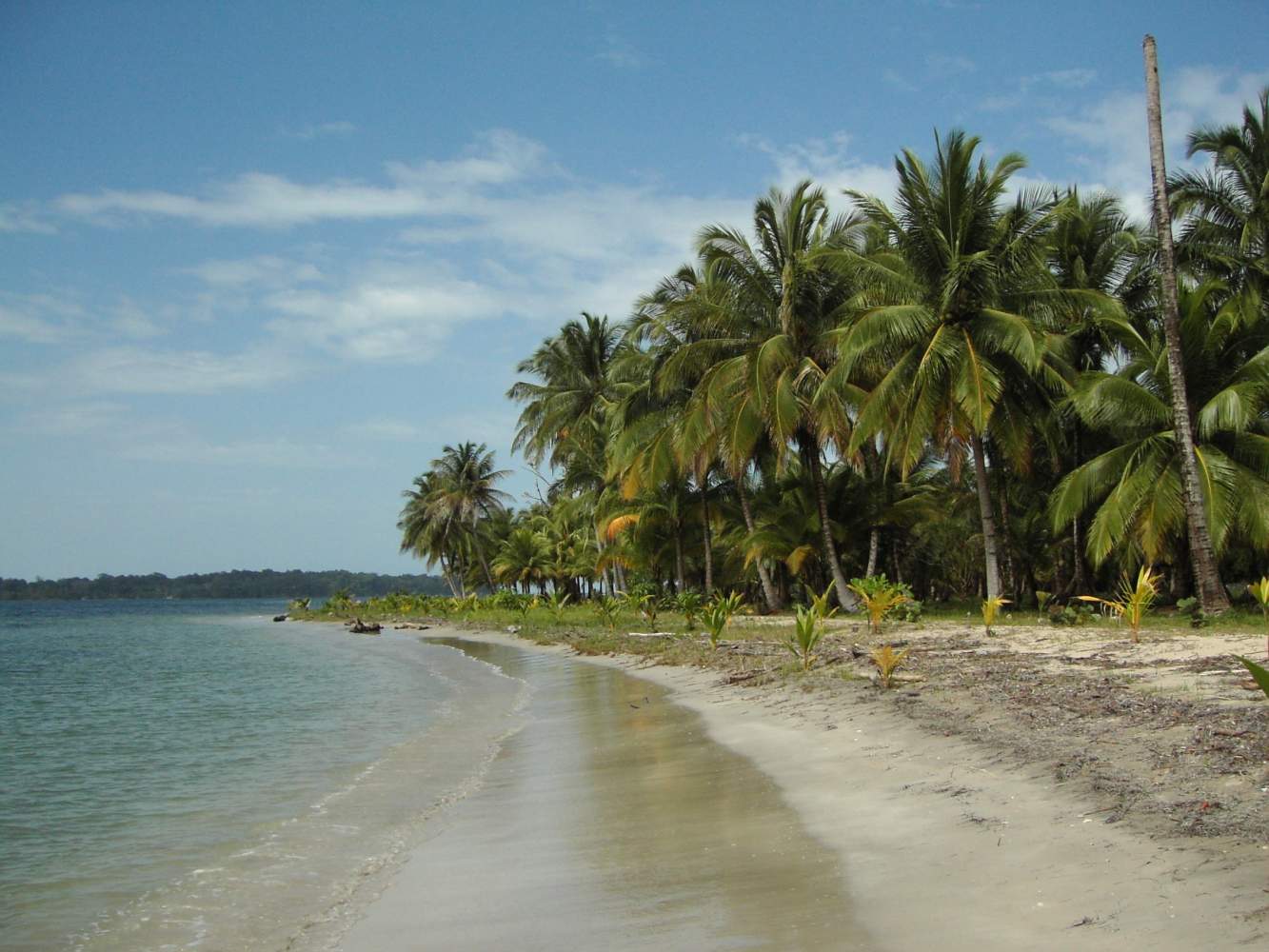 Strand in Panama 