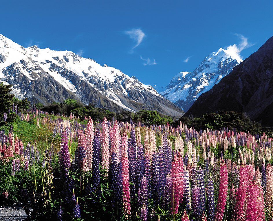 Aussicht auf den Mount Cook bei einer Wanderung - Neuseeland