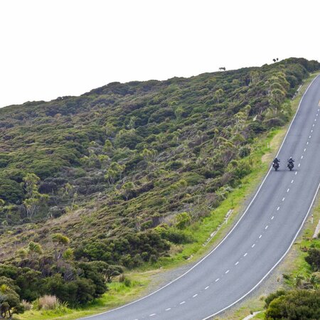 Motorradreisen Neuseeland: Kurven, Pässe & beide Inseln
