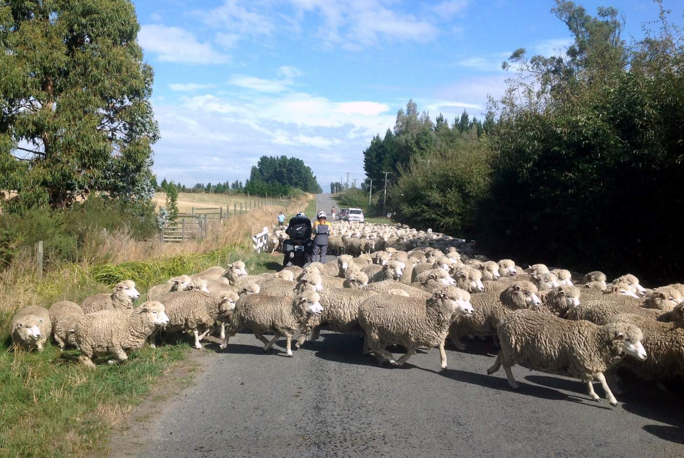 Neuseeeland Motorrad Luxusreise Overcross