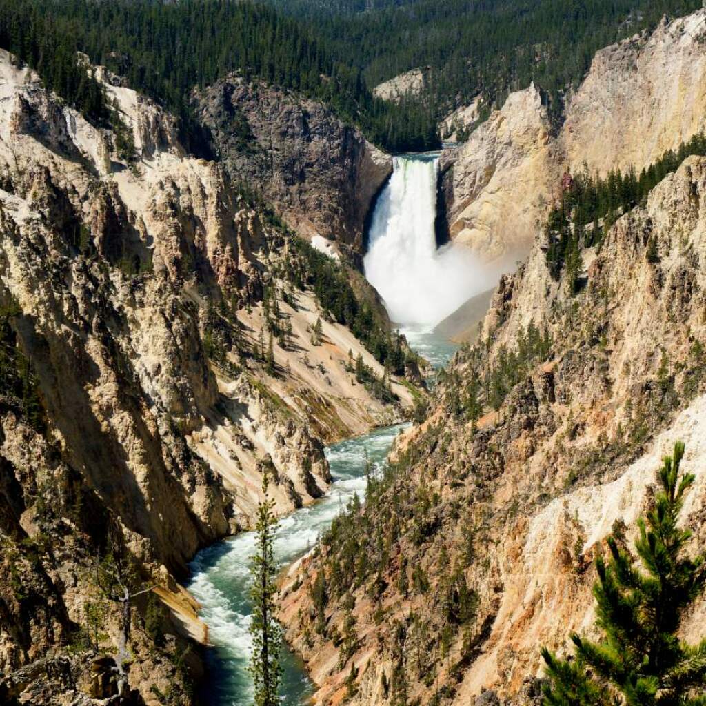 Una alta cascada cae a un río de cañón bordeado de roca dorada y bosque de pinos