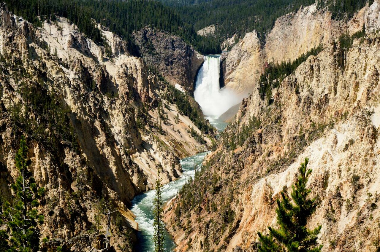 Una alta cascada cae a un río de cañón bordeado de roca dorada y bosque de pinos