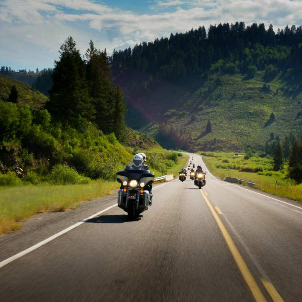 Motos de turismo circulan por una carretera forestal soleada flanqueada por colinas cubiertas de pinos