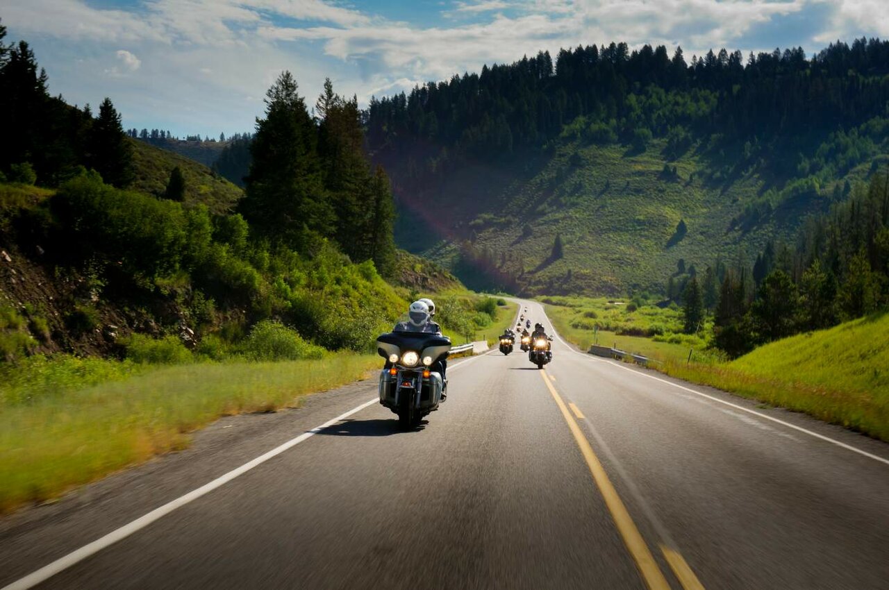 Motos de turismo circulan por una carretera forestal soleada flanqueada por colinas cubiertas de pinos