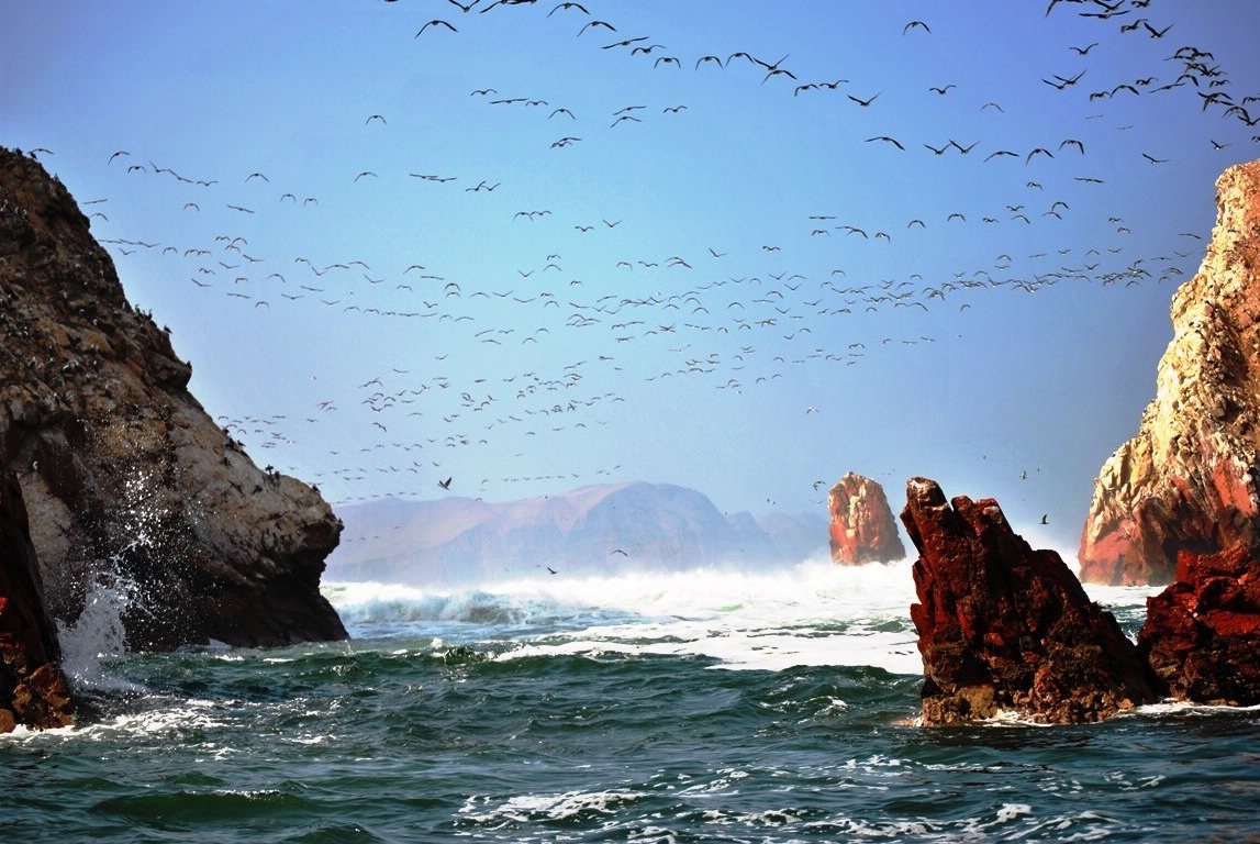 Islas Ballestas