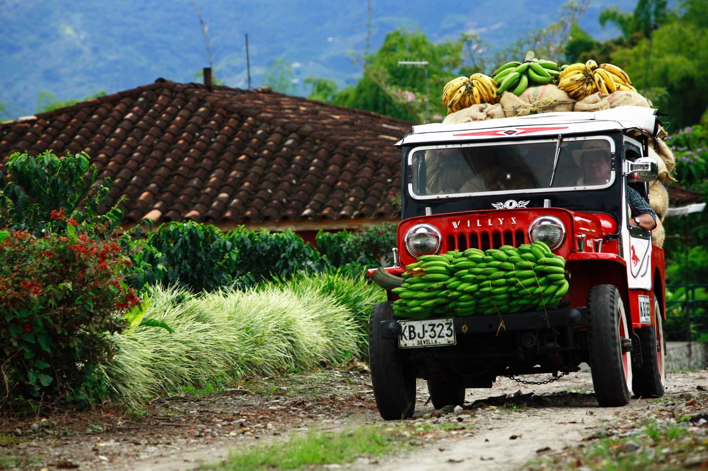 Bananentransport in der Kolumbianischen Kaffeeregion auf unseren Motorradtouren in Südamerika
