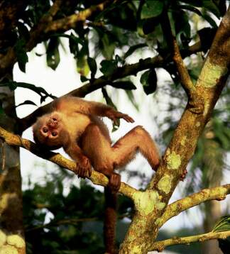 Island-Hopping auf den Galapagos-Inseln