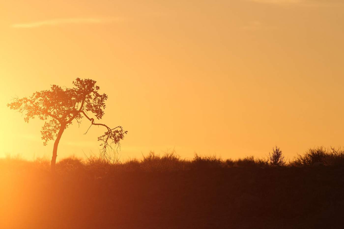 Sundowner in Namibia 