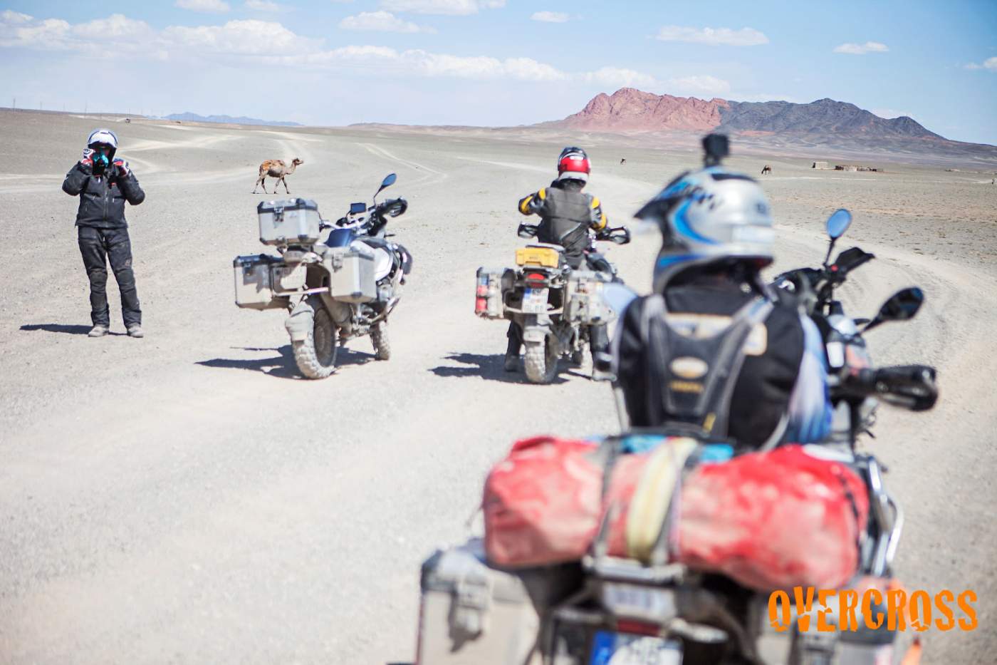 Auf den letzten Offroadfahrten der Motorradexpedition von Deutschland in die Mongolei begegnen wir mit unseren Motorrädern auch Kamelen in den endlosen Weiten der Wüste Gobi. 