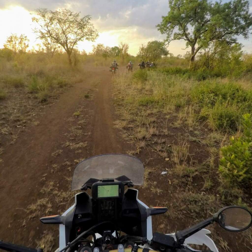 Motorradreisen Afrika Tansania Großsäuger Raubtiere
