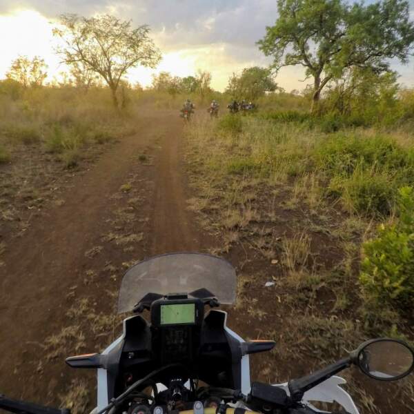 Motorradreisen Afrika Tansania Großsäuger Raubtiere