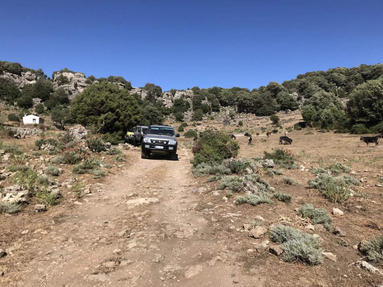 Offroad über die Insel Sardinien