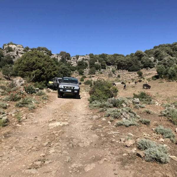 Offroad-Reisen Europa Anreise Schotterpisten Lost