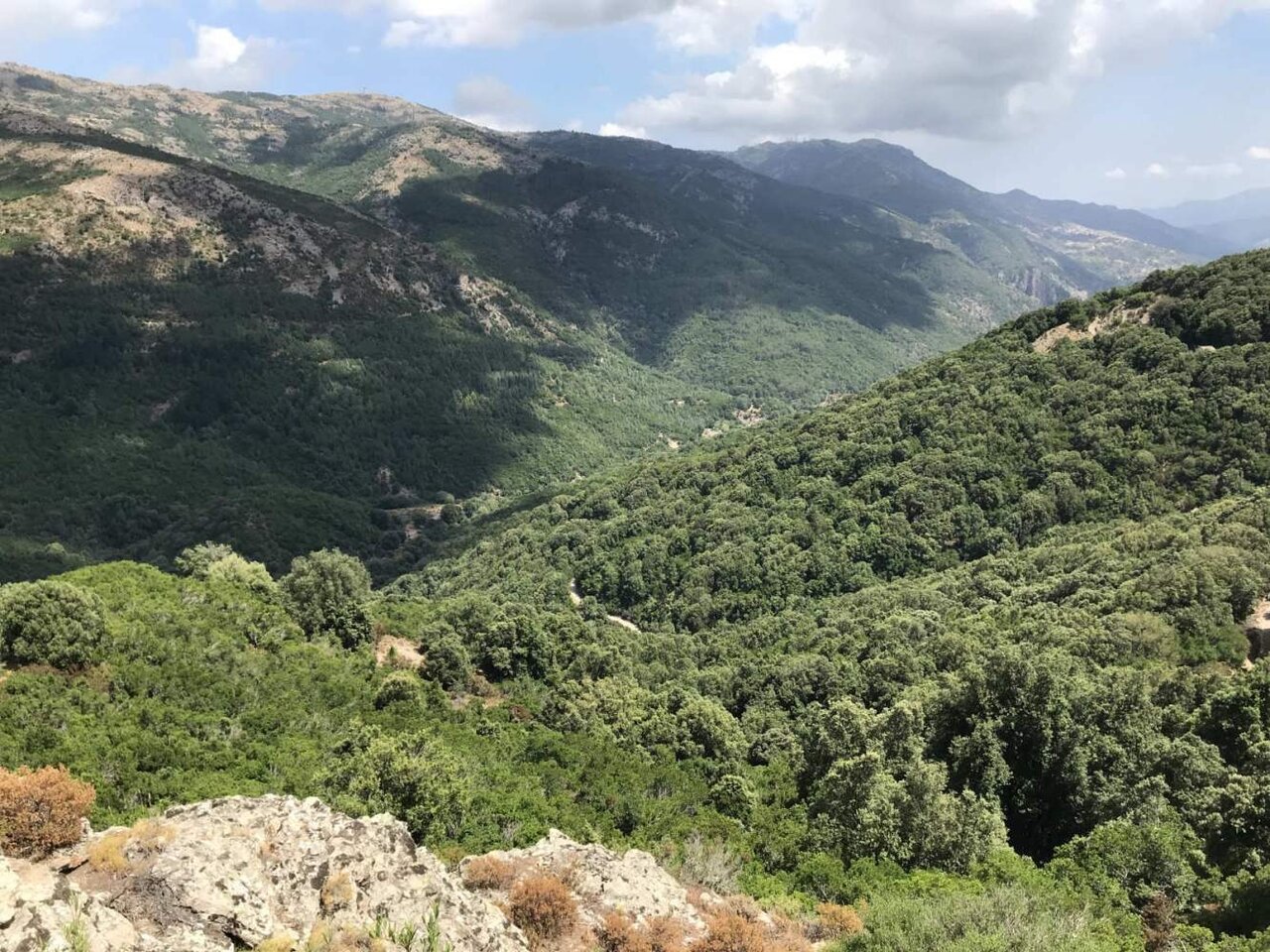 Weites bewaldetes Tal, von einem Aussichtspunkt am Berg aus gesehen, mit Felsen im Vordergrund