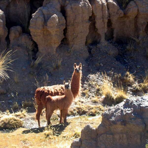 Chile