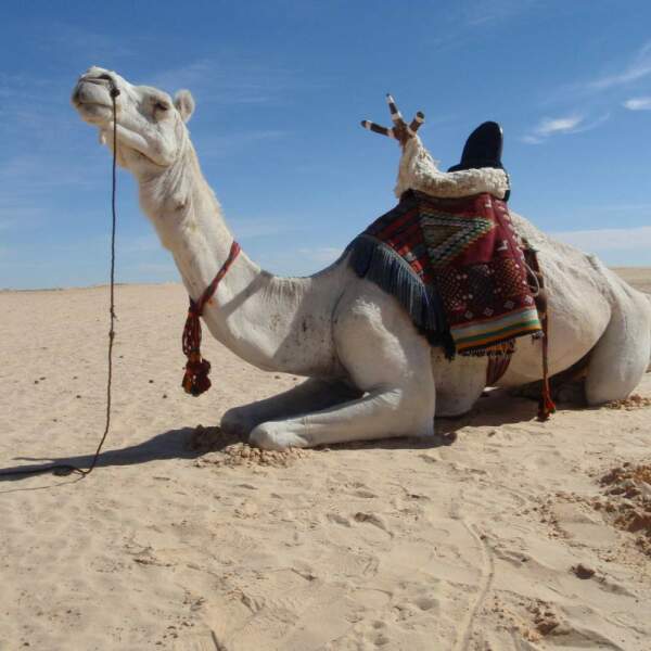 Motorradreisen Tunesien Sahara, Markt, Vorräte