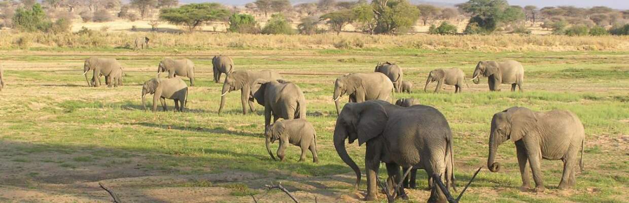 Erlebnis-Reisen Sudafrika, Garden Route, Südafrika