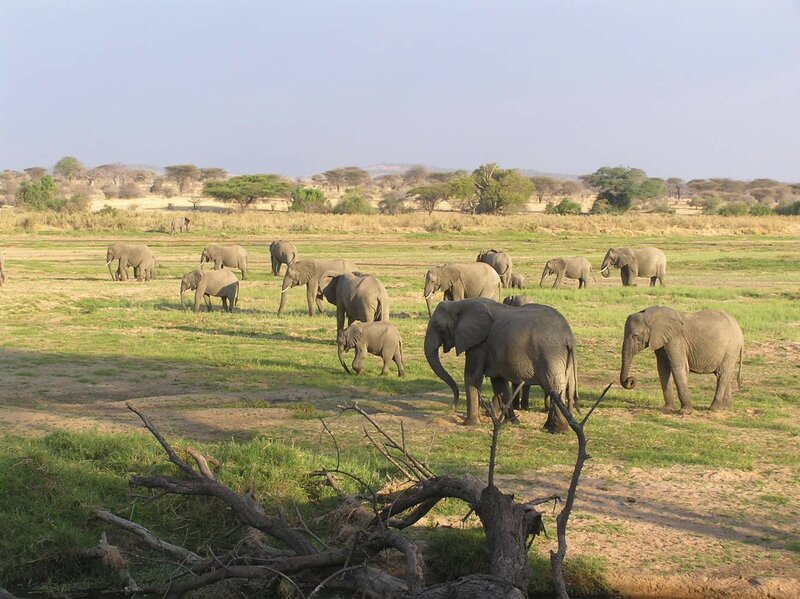 Viaje en grupo reducido por Sudáfrica en camión overland