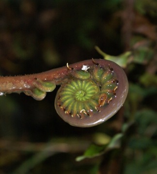 Venezuela Trekkingreise
