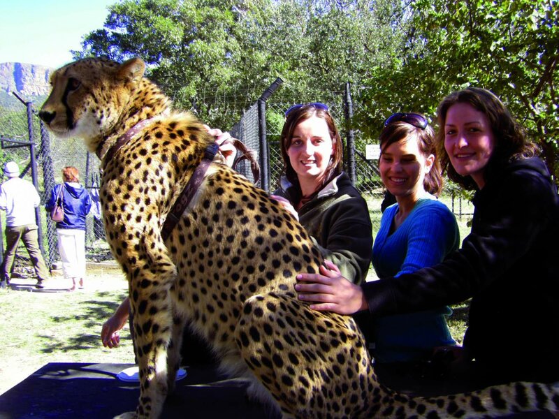 Viaje en grupo reducido por Sudáfrica, Lesotho y Eswatini