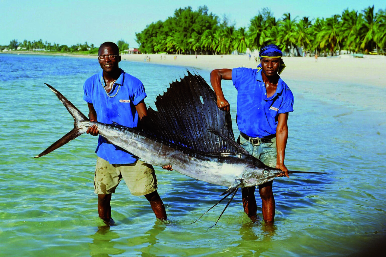 Sambia Safari: Victoriafälle, South Luangwa und der Sambesi