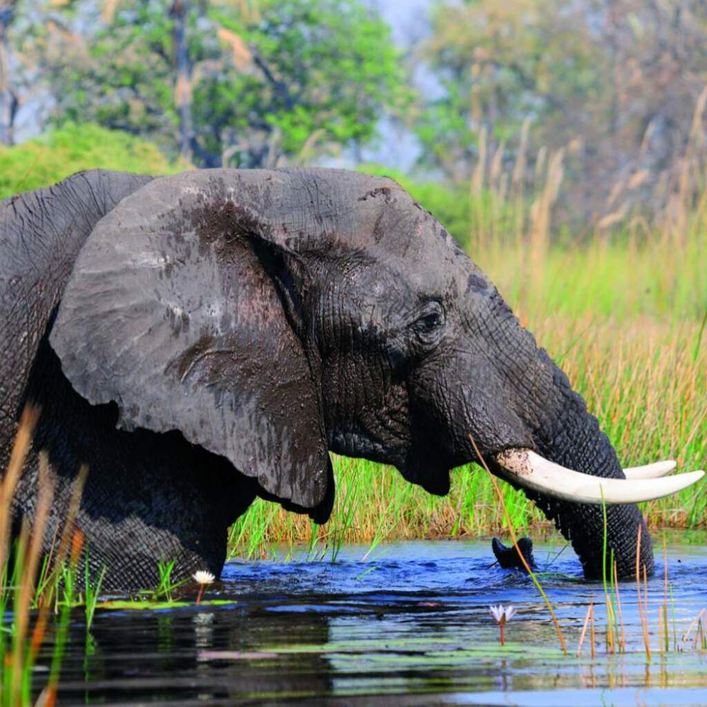 Süd-Äquator Safari: Gruppenreise quer durch Afrika