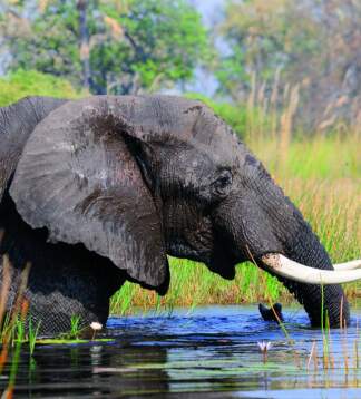 Süd-Äquator Safari: Gruppenreise quer durch Afrika