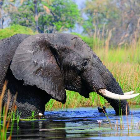 Experience travel to Kenya: Safari adventures and nature pure