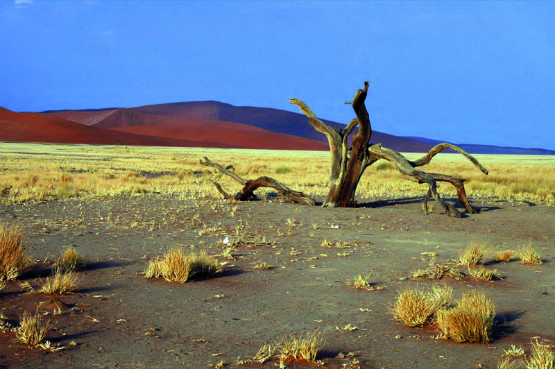 Viaggio d'avventura in Namibia da Città del Capo a Windhoek