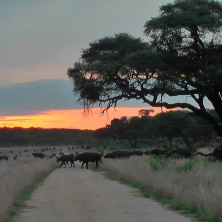 Viagens de mota pela África do Sul em 2026 e 2026: Descobrir a liberdade!