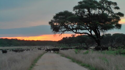 Viagens de mota pela África do Sul em 2026 e 2026: Descobrir a liberdade!