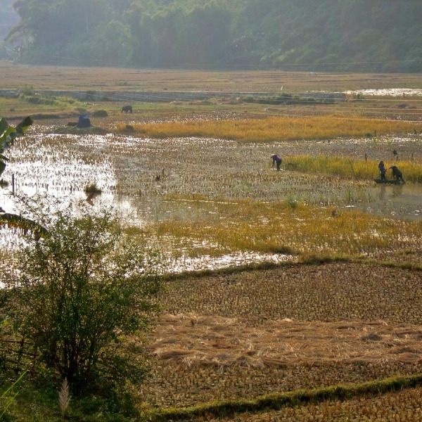 Motorradreisen Vietnam Start Phong Nha Höhlen