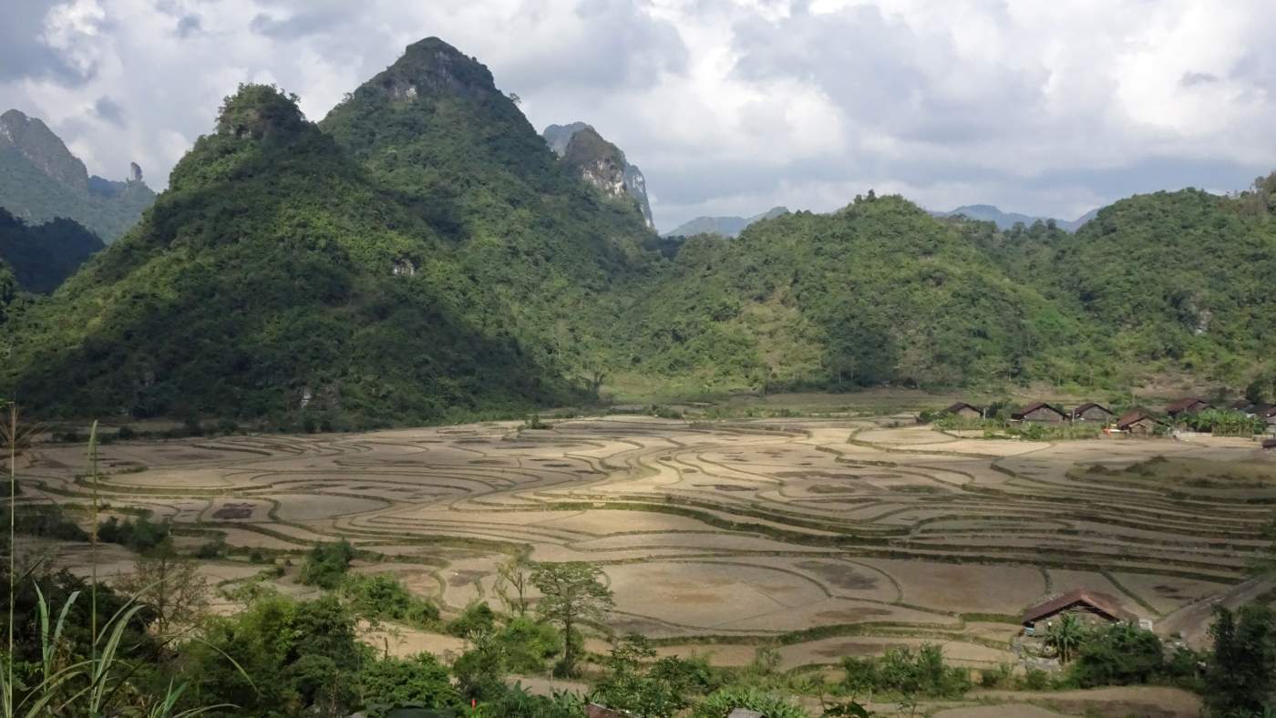 Reisfelder und im Hintergrund die grün bewachsenen Berge von Vietnam