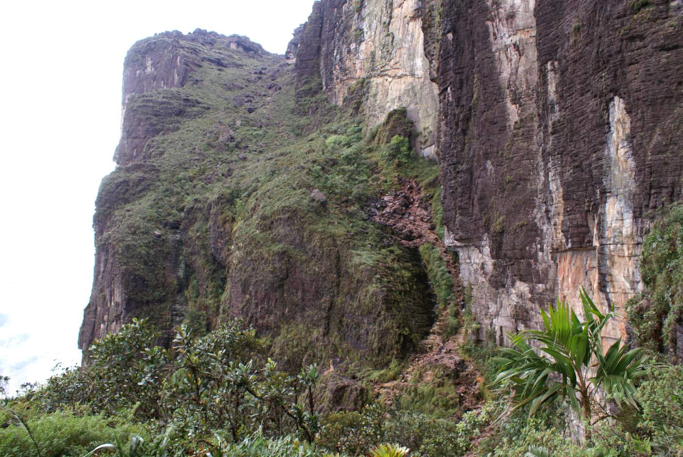 Venezuelas Tepui Platues Canaima Nationalpark