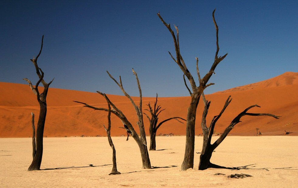 Botswanas Landschaften