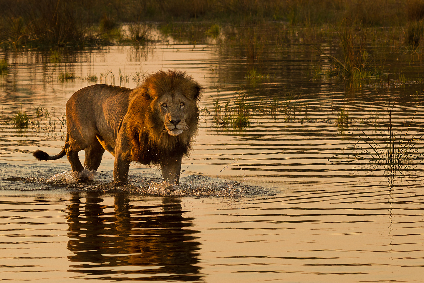 Etosha Nationalpark