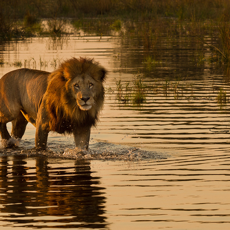 Kapstadt nach Nairobi Overland: Camping Safari
