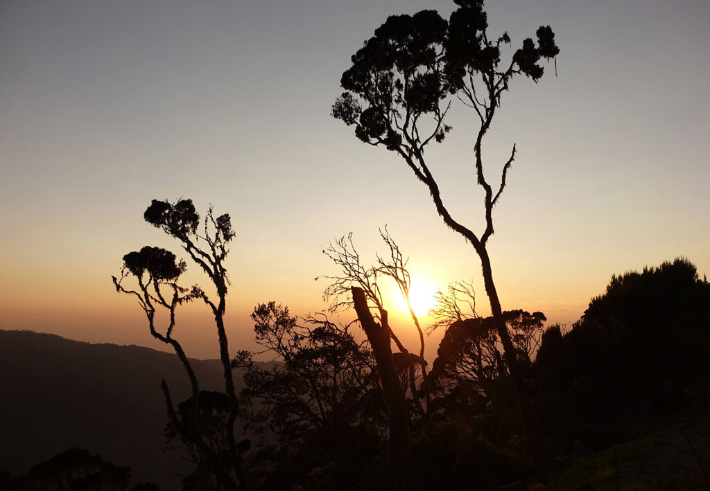 Tour dell'Uganda - Safari, Gorilla e Avventura