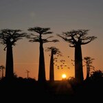 Madagascar round trip - nature, adventure &amp; lemurs