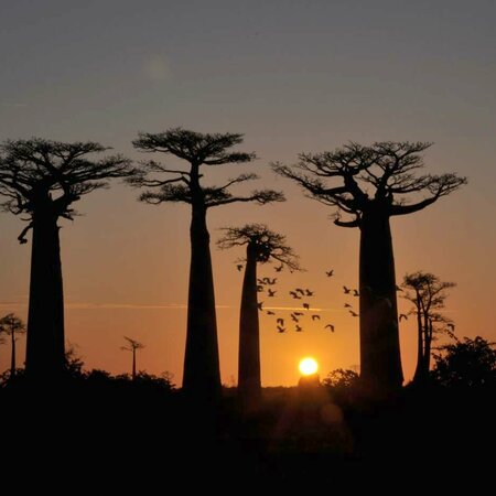 Madagaskar