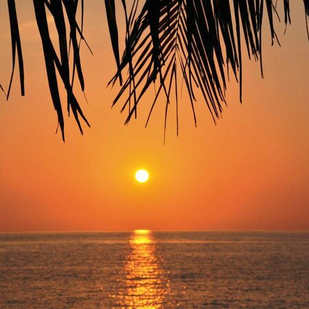 Através do leste tropical de Madagascar